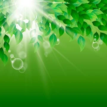 Natural background Stock Illustration