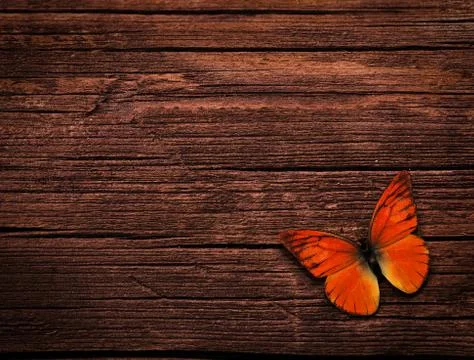 Natural background Stock Illustration