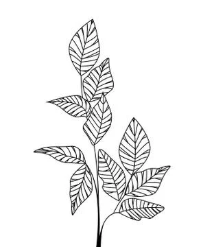 Natural background with leaves Stock Illustration