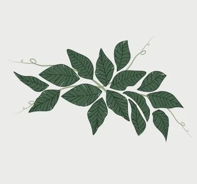 Natural background with leaves Illustrazione stock