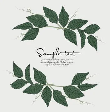 Natural background with leaves Stock Illustration