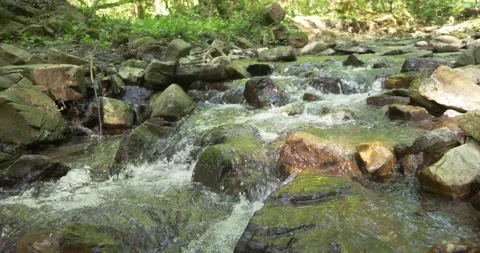 Natural background. mountain river flowing through the stones in the forest Vidéo 153851223