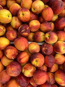 Natural background nectarines in boxes, selective focus Stock Photos