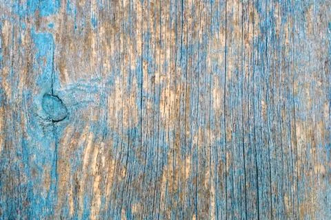 Natural background - an old tree texture, uneven painted blue, turquoise peel Stock Photos