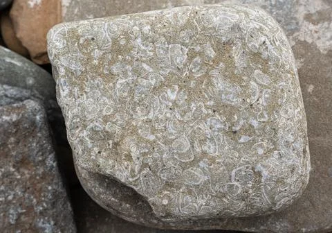 Natural background pattern, natural stone texture. sea stone Stock Photos