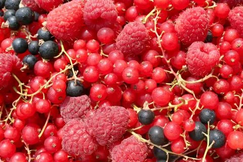 Natural background Stock Photos