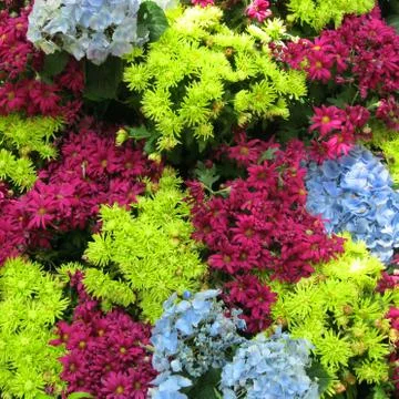 Natural background Stock Photos