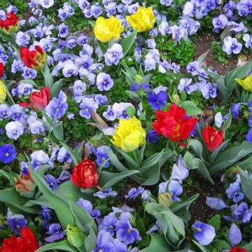 Natural background Stock Photos