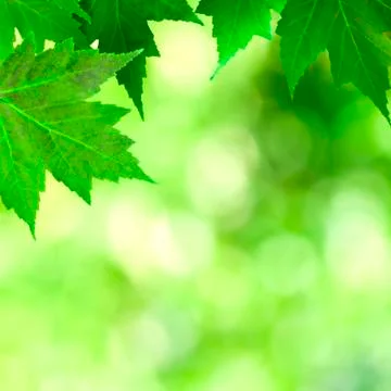 Natural background Stock-Fotos
