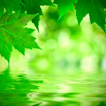 Natural background Stock Photos