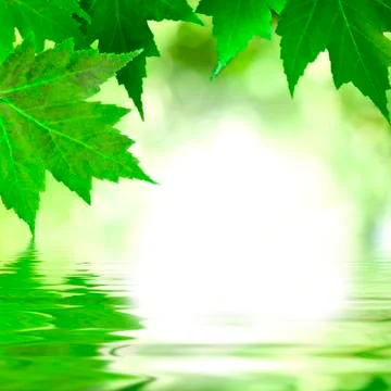 Natural background Stock Photos