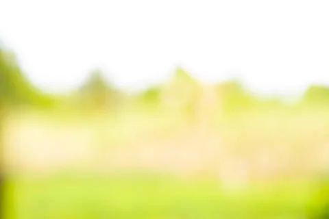 Natural background Stock Photos