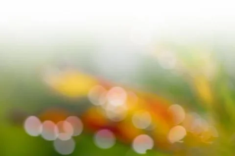 Natural background Stock Photos