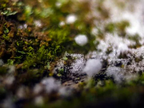 Natural background Stock Photos