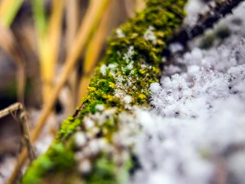Natural background Foto stock