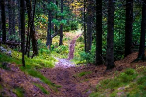 Natural background Stock Photos