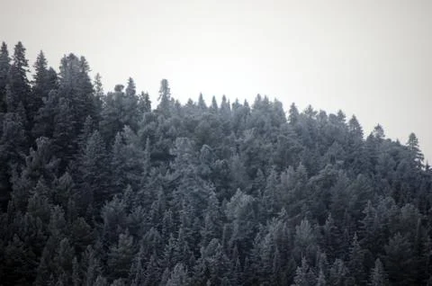 Natural background Stock Photos