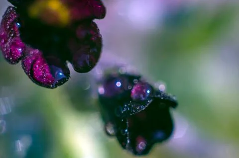 Natural background Stock Photos