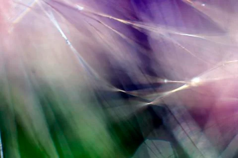 Natural background Stock Photos