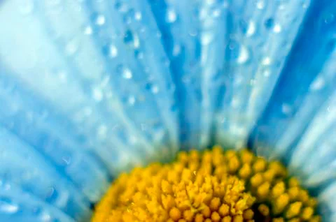 Natural background Stock Photos