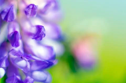 Natural background Stock Photos