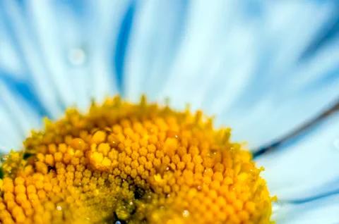 Natural background Stock Photos