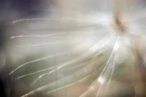 Natural background Stock Photos