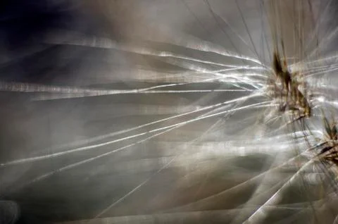 Natural background Stock Photos