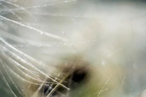 Natural background Stock Photos