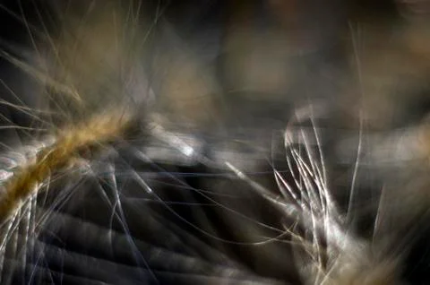 Natural background Stock Photos