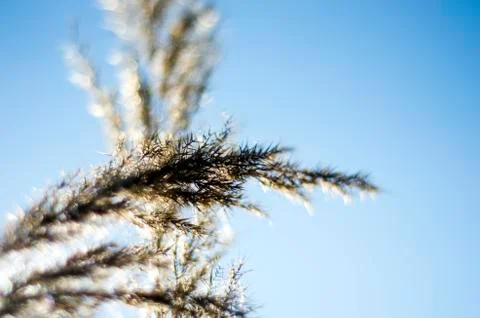 Natural background Stock Photos