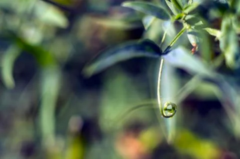 Natural background Foto stock