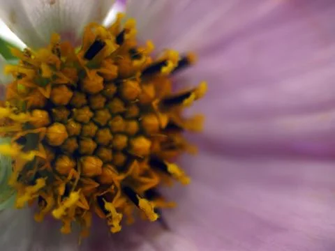 Natural background Stock Photos