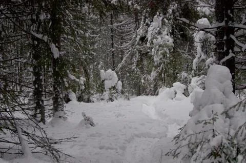 Natural background Stock Photos