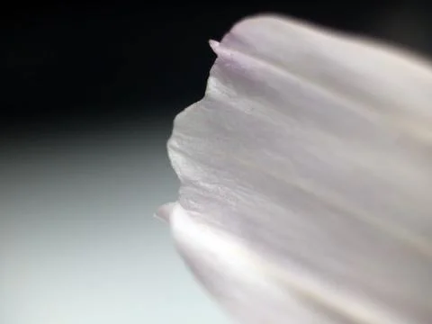 Natural background Stock Photos