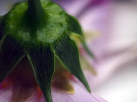 Natural background Foto stock