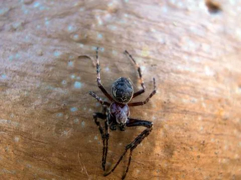 Natural background Foto stock