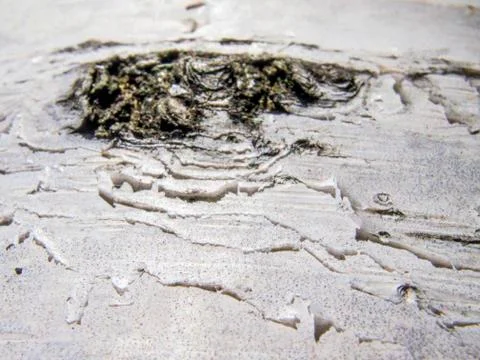 Natural background Stock Photos