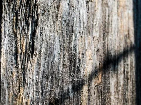 Natural background Stock Photos