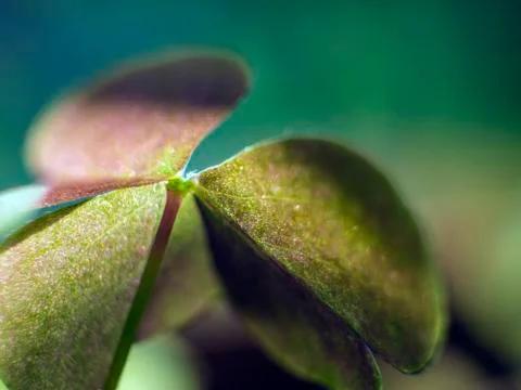 Natural background Stock Photos