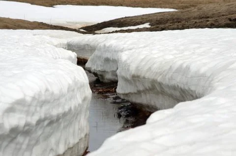 Natural background Stock Photos