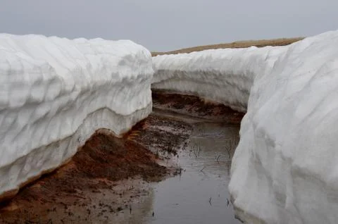 Natural background Stock Photos