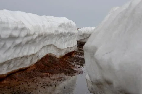 Natural background Stock Photos