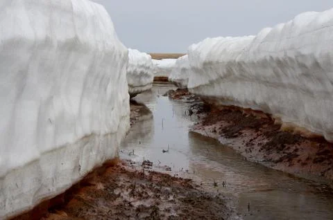 Natural background Stock Photos