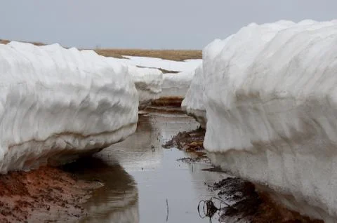 Natural background Stock Photos
