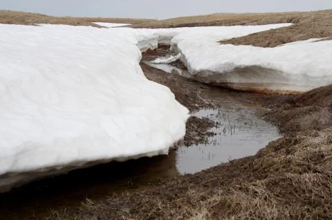 Natural background Stock Photos