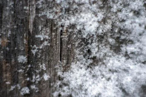 Natural background Foto stock