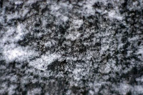 Natural background Stock Photos