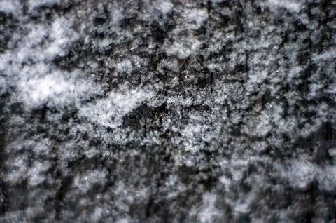 Natural background Stock Photos