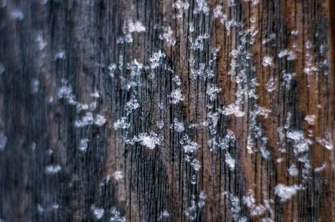 Natural background Stock Photos